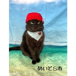 水泳帽orナイトキャップ、猫ちゃんの帽子
