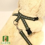 デイジーチロルとカーキの8の字ハーネス＆リードセット　犬用