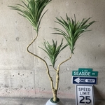 光触媒　人工観葉植物　ウォールグリーン　フェイク　フラワー　コンシンネg