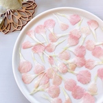【押し花素材】カーネーションの花びら　オレンジ