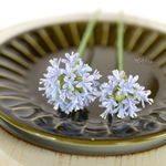 華やかで存在感抜群。ぜひ飾りたいお花NO.K5−1