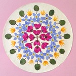 押し花セットG＜ヒナソウ・ボロニア・メラスフェルラ他＞