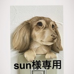sun様専用