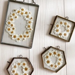 Pressed Flowers (S) (L) ガラスフレーム 押し花 マトリカリア 小花 植物標本 フラワーアート