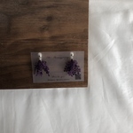 ぶどう🍇もじゃっこ