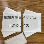 【夏用　小さめ　内側接触冷感白メッシュ】小さめBOX型インナーマスク
