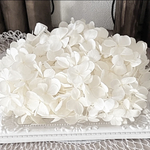 純白❣️高品質素材❣️アトランティスアジサイ小分け❣️ハンドメイド花材プリザーブドフラワー