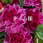カーネーション花籠　2点