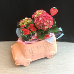 一点物【母の日】カーネーションと紫陽花の鉢セット　ラッピング・ピック付き