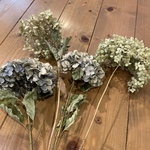 ♪nonkotaroさま専用♪ 紫陽花ミックス30-50cm 4本