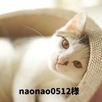 naonao0512様専用 チャリティ チャーム付きマスクケース 2pcs