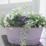 母の日ギフト❁⃘*.ﾟカリブラコアのおしゃれな寄せ植え