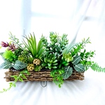 多肉植物の寄せ植えアレンジ