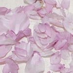 #16 『再販』ドライフラワー　本物の桜　3種類のさくらの花びら ミニ　80枚 ピンクの花 素材