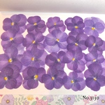 ♡new♡送料無料 ☆ビオラ☆ 押し花セット
