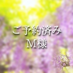 ご予約済み　6月分オーダー　フラップケース