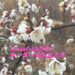 toraarisaさま オーダーのお品です