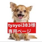 専用ページ
