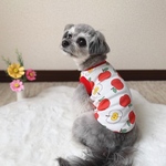 犬服‼︎赤リンゴタンク🍎☆XS.S.M.DXS.DS.DM