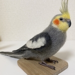 羊毛フェルト　オカメインコ  ノーマル