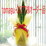 tomagu-0077様オーダー作品