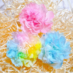 ミニカーネーション　プリザーブド加工花材