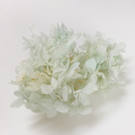 紫陽花プリザーブドフラワー【アクセサリー作りにも活用】