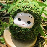 苔だるま-①