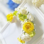 〜June bride garden〜ヴェールカチューシャ　犬 猫 ペット ギフト ウェディング 撮影