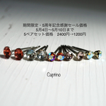 【セール】カットクリスタルのプチピアス5ペアセット