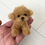羊毛フェルト＊トイプードル＊レッド＊ミニサイズ＊犬