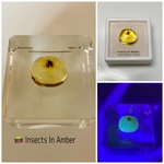 【琥珀鑑別済】Insects In Amber〜虫入り琥珀・リトアニア産〜　#al03