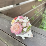 《新作》＊＊ハリネズミ🦔フラワーポットmini＊。花かんざし・＊