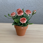 薔薇の花鉢　5