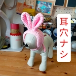 【早割・集合写真付】🐰帽子【耳穴ナシ】（🔴①〜④で選択を！）