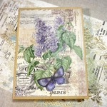 おすそ分けファイル