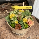1点限り！多肉寄せ植え