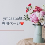 ymcaana様専用ページです❤