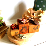 アンティーク風☆多肉植物☆3つセット