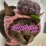 女のコ.和菓子.紫陽花.6月.ニット帽.猫.被り物.コスプレ.毛糸