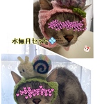 水無月セット.カタツムリ.紫陽花.6月.ニット帽.猫.被り物.コスプレ.毛糸
