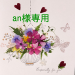 専用ページ　an様専用