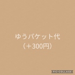 ゆうパケット代