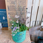 現品SALE♡ランタンピックつき♡【６種類寄せ植え】かっこいいグリーン系ブリキ鉢♪