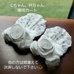 Cちゃん、Mちゃん専用カート