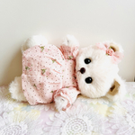 テディベア『baby bear』ホワイト