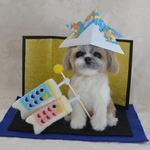 オーダー品シーズー犬マックちゃんの五月人形