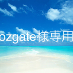 ozgate様専用ページ