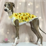 イタグレ用🐕夏季限定販売❣️ひまわり✖️ギンガムチェックタンクトップ🌻❣️