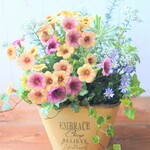 🌹母の日にも　茜色ペチュニアと可愛いお花の寄せ植え